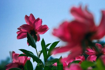 _IGP5035.jpg