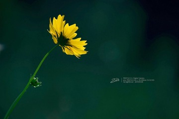 _IGP5561.jpg