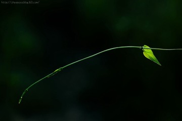 _IGP6688.jpg