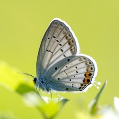 62690