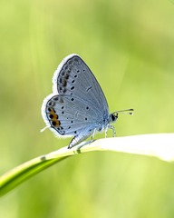 61703