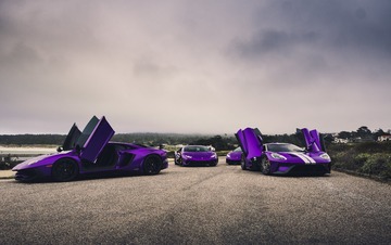 4465305