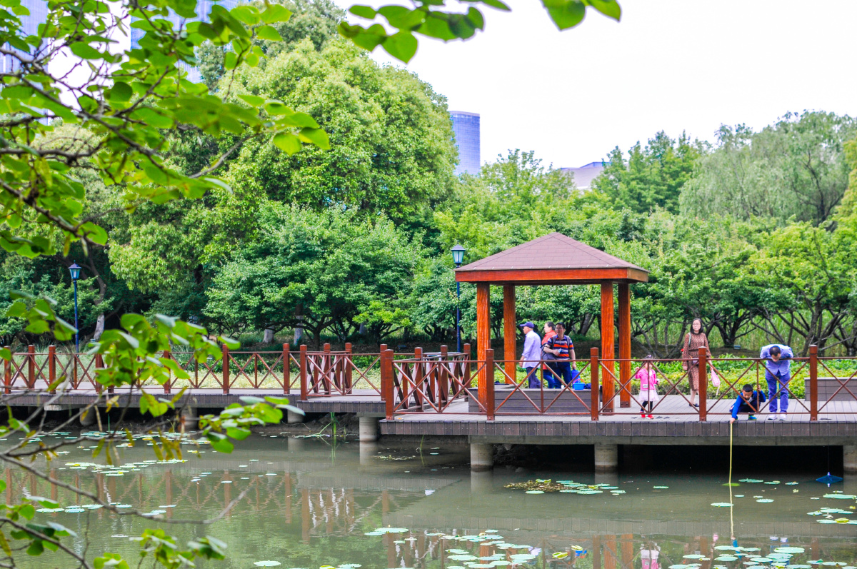 夏天公园一角