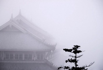 IMG_6873.jpg