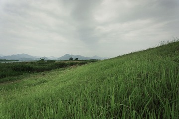 郊外