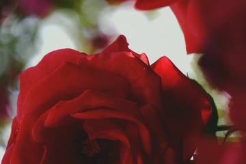 12CA3C99-8E95-405D-A187-35D7FC404430/L0/001