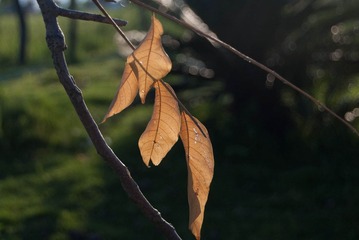 _DSF5797-1.jpg