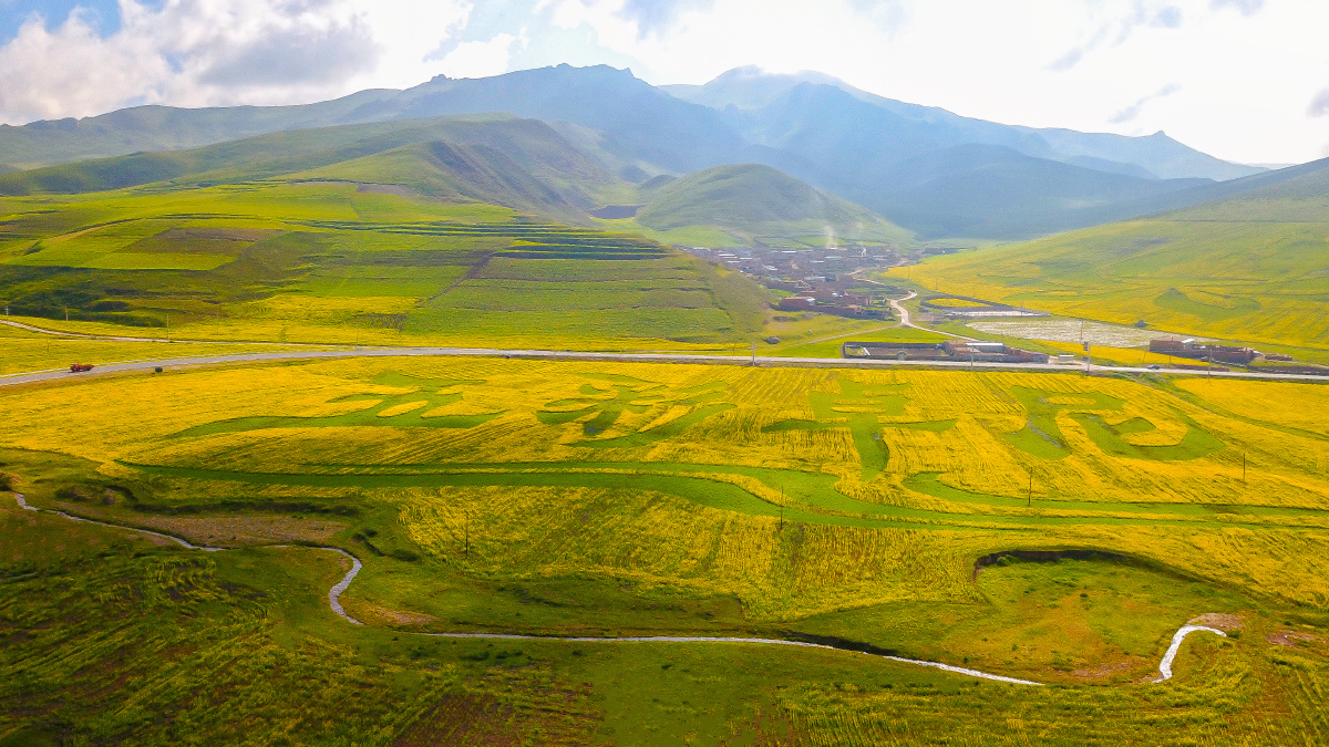 五彩卓尼油菜花 - 飞翔的云1973 - 图虫