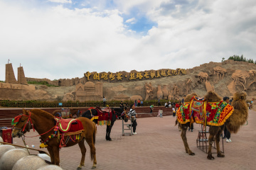 cizhoufudiaoqun3