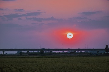 678801