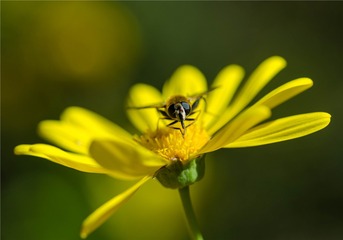 95030