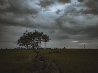 1162541