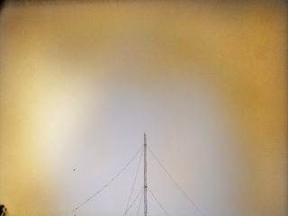 630276