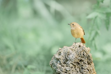 9204