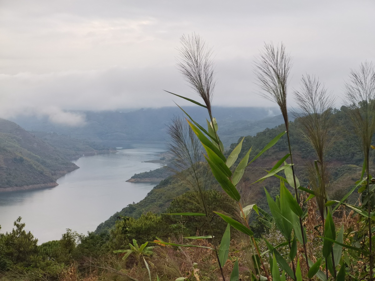 景谷县碧安乡平掌村云海