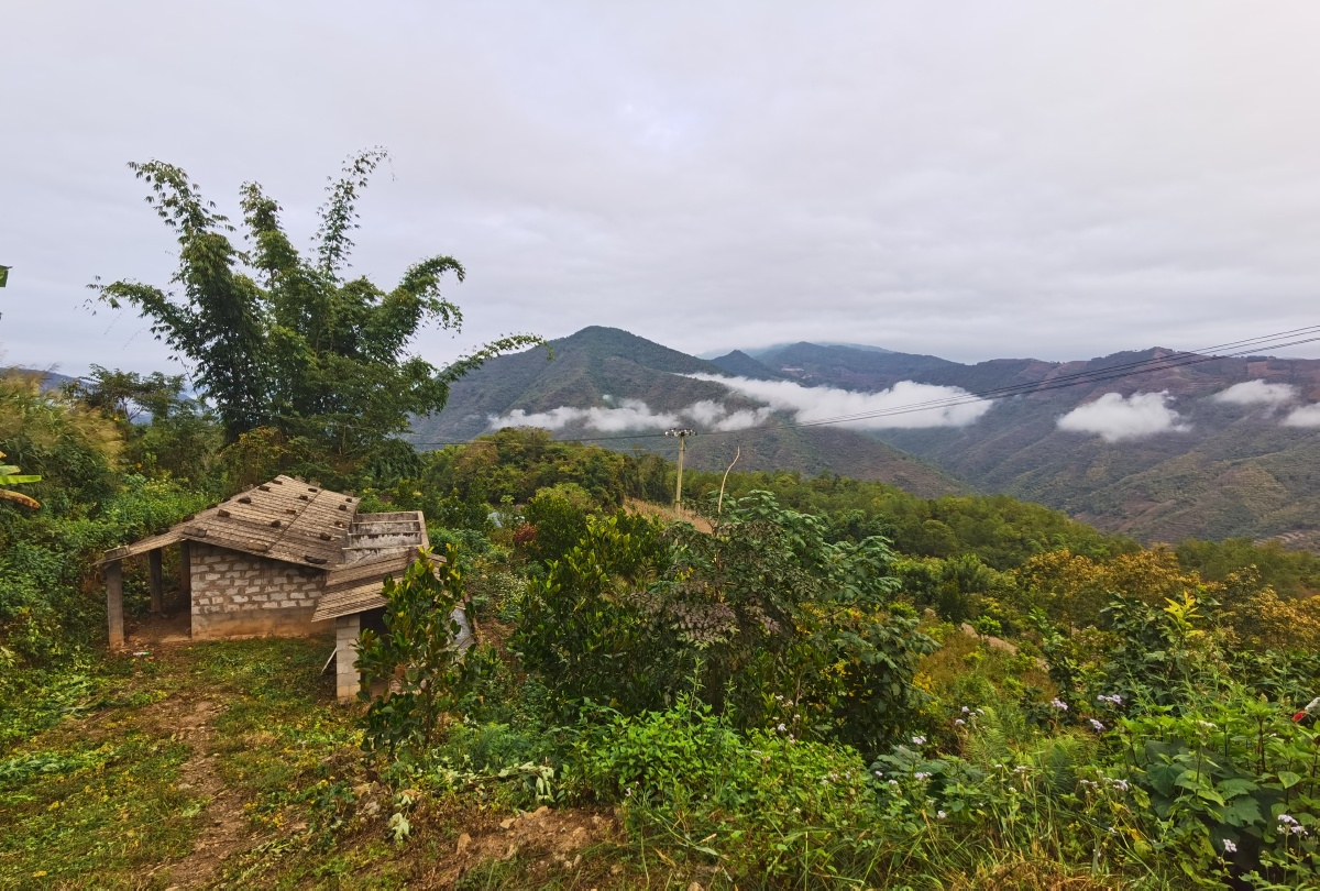 景谷县碧安乡平掌村云海