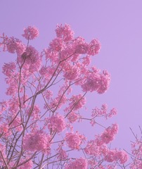 58213