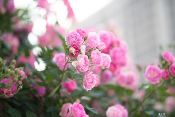 29BA4AAF-03CC-4FC2-A89F-C6CD9E2CE610/L0/001