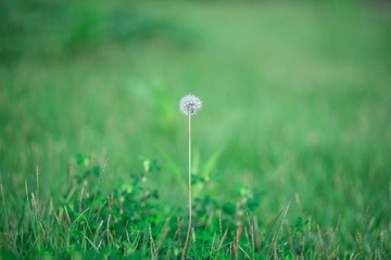 D17B2DB8-D3CC-44BF-A6B6-3478A1B9127C/L0/001