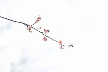 943B65D3-4618-48CF-AD89-43EF3EA706D8/L0/001