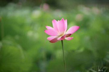 BA6557B7-F082-49C4-8E6F-E826C9BA5A46/L0/001