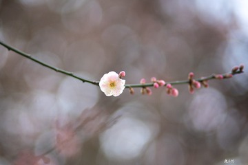 909D45CE-ED6E-49E1-B84C-2B41E54565B0/L0/001