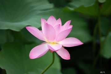 735D695D-DC82-44B9-831F-CBC4A7EA1AB0/L0/001