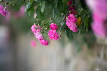 937BD1D9-E02D-42C3-B06E-9644D35EB10F/L0/001