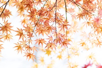 06BF00DA-14D0-400A-8AEA-89BA9F73FD79/L0/001