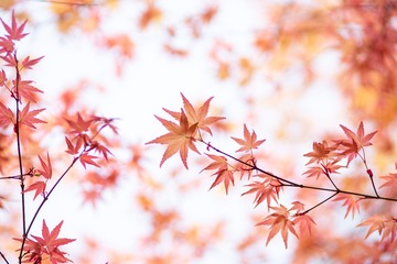 4130076C-324C-4250-910C-2AF28D7FE4F1/L0/001