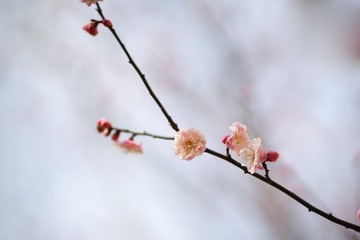 B5683D79-509D-4354-865C-0355D370D4CD/L0/001