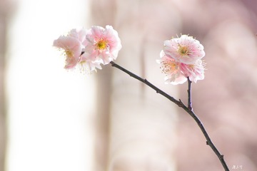 F76FFC4C-377C-43D8-8D06-B032DD37DF55/L0/001