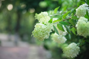 FB62D469-7C5F-4C37-B348-F97B7C3F5086/L0/001