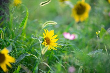 E7017E87-7532-4557-A666-F29569E05CCB/L0/001