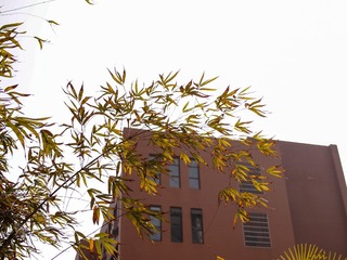 P1106550-1