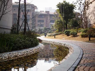 P1106559-1