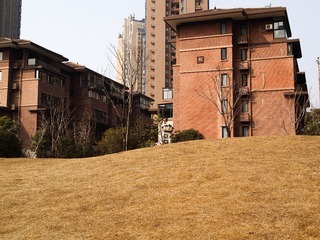 P1106564-1