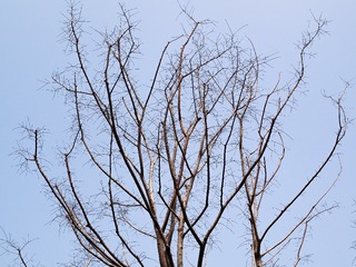 P1106569-1