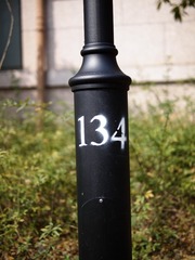 P1106571-1