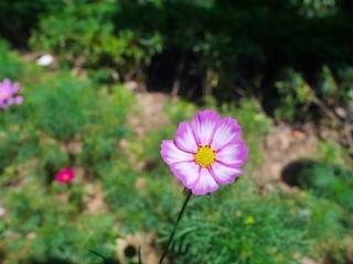 P1080582-1