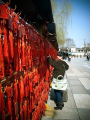 P1102578-2.jpg