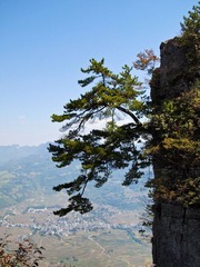 P1103683.jpg
