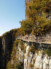 P1103651.jpg