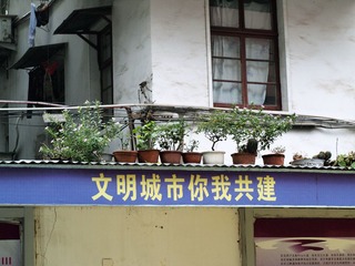 P1104487