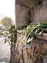 P1104689