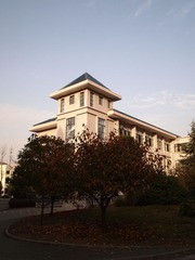 P1104708
