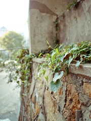 P1104689