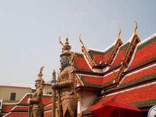 P1104897-1