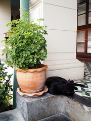 P1104941-1