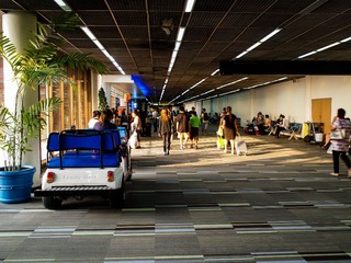 P1104989-1